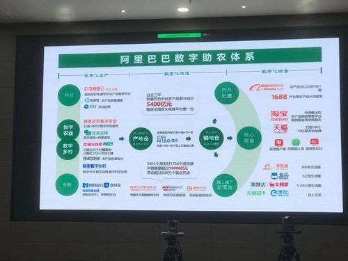 數(shù)字賦能 鏈動(dòng)全球 中國(guó)農(nóng)產(chǎn)品電商的崛起與數(shù)字內(nèi)容服務(wù)新篇章