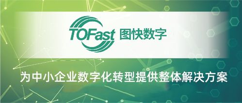 臨安數(shù)字化服務(wù)商 以數(shù)字內(nèi)容制作服務(wù)獲評(píng)市級(jí)優(yōu)秀背后的創(chuàng)新實(shí)踐